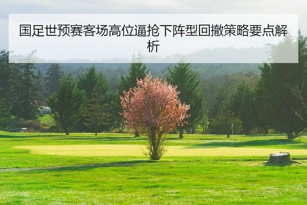 guo-zu-shi-yu-sai-ke-chang-gao-wei-bi-qiang-xia-zhen-xing-hui-che-ce-lve-yao-dian-jie-xi-2-780.jpg